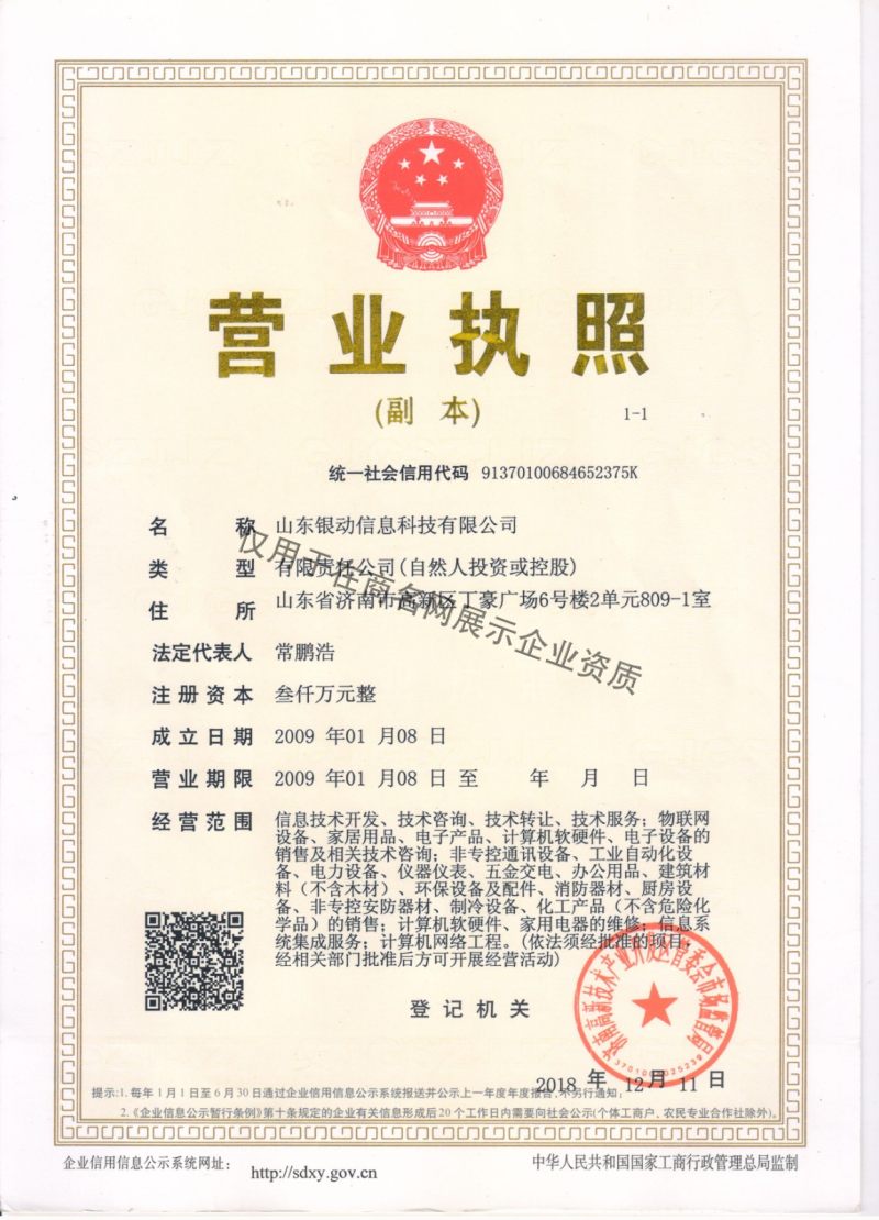 山东盛润建设集团 企业资质与信息技术咨询服务概览